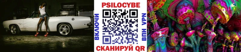 закладка  blacksprut как войти  Псилоцибиновые грибы Psilocybine cubensis  Арск 